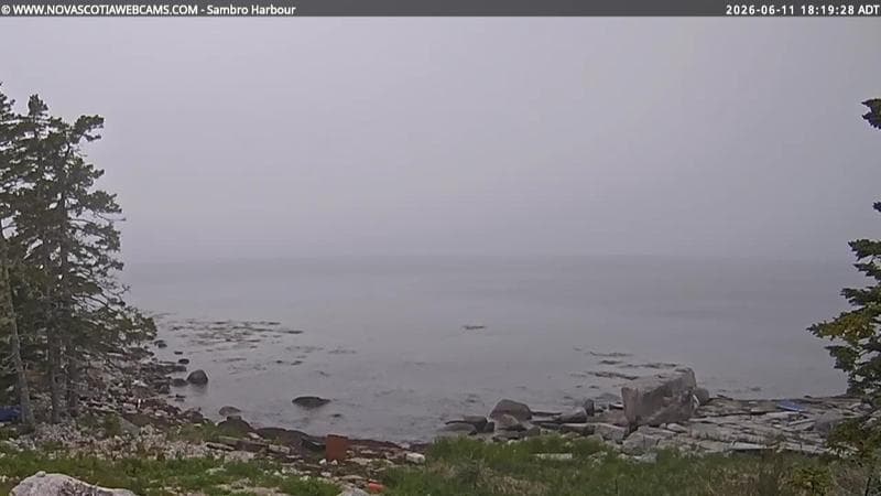Sambro Harbour