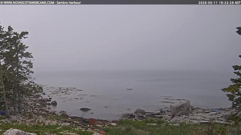Sambro Harbour