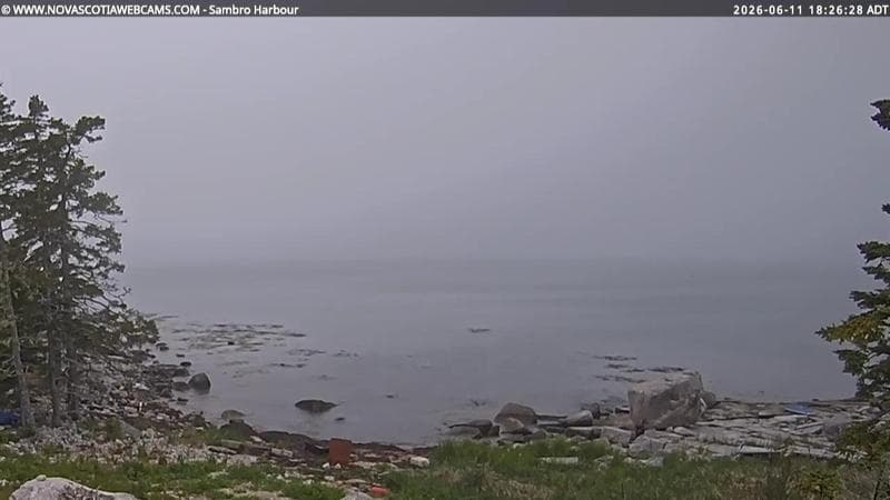 Sambro Harbour