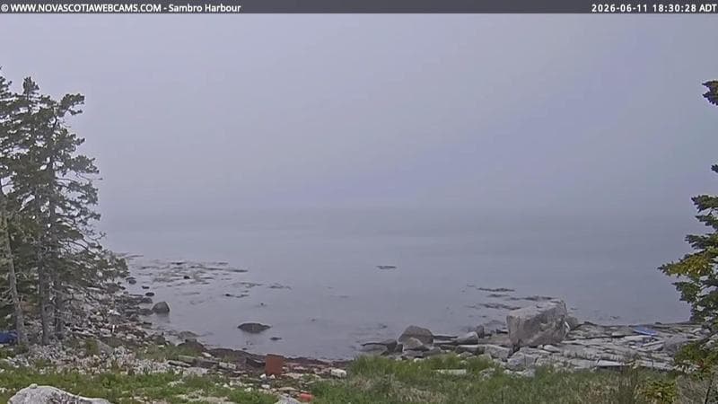 Sambro Harbour