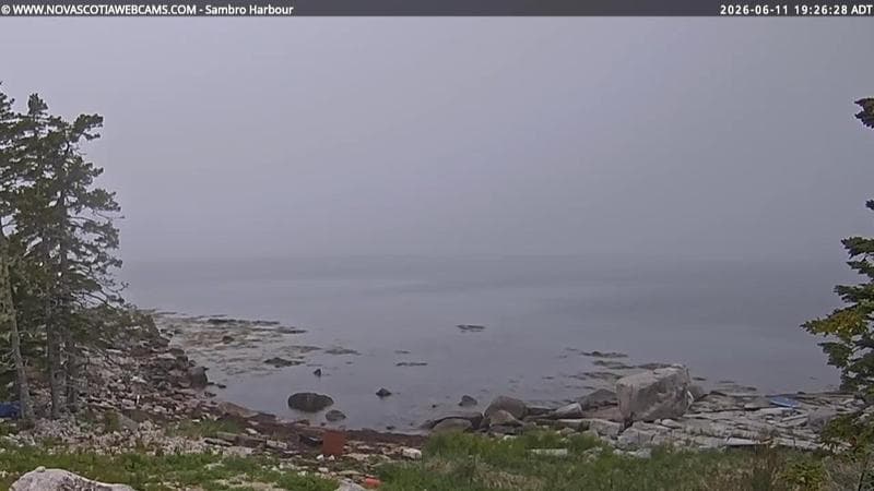 Sambro Harbour