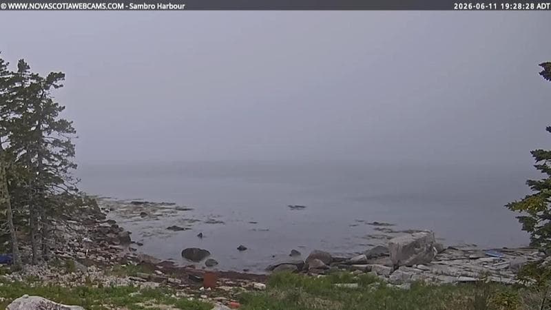 Sambro Harbour