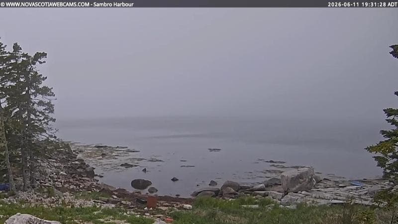 Sambro Harbour
