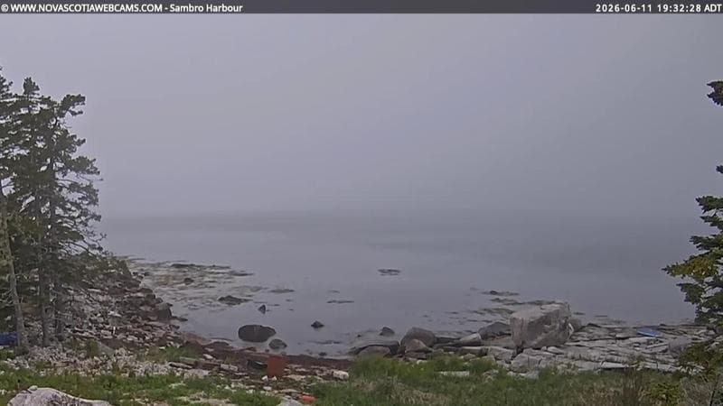 Sambro Harbour