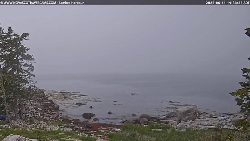 Sambro Harbour
