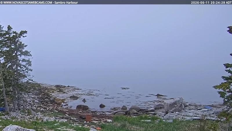 Sambro Harbour