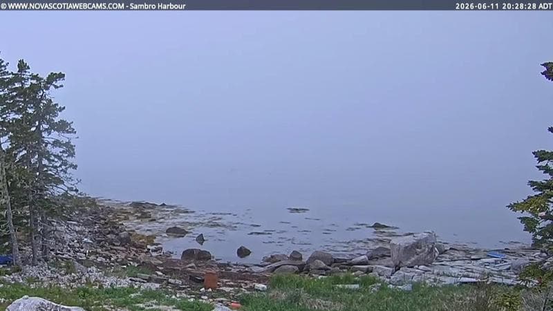 Sambro Harbour