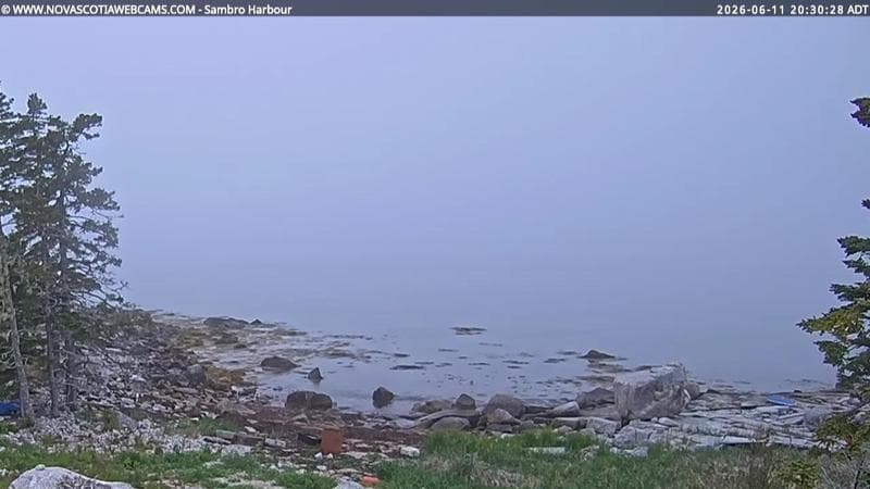 Sambro Harbour