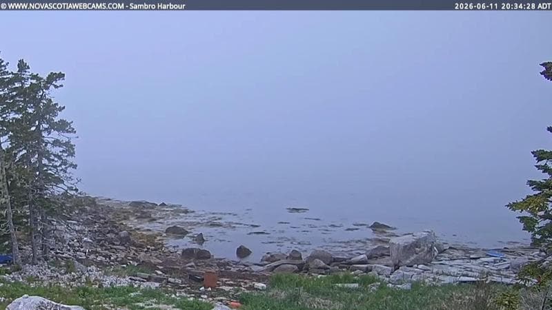 Sambro Harbour