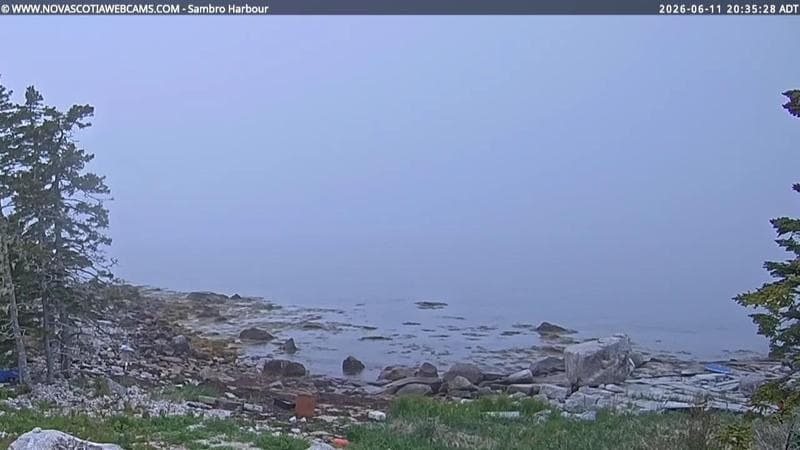 Sambro Harbour