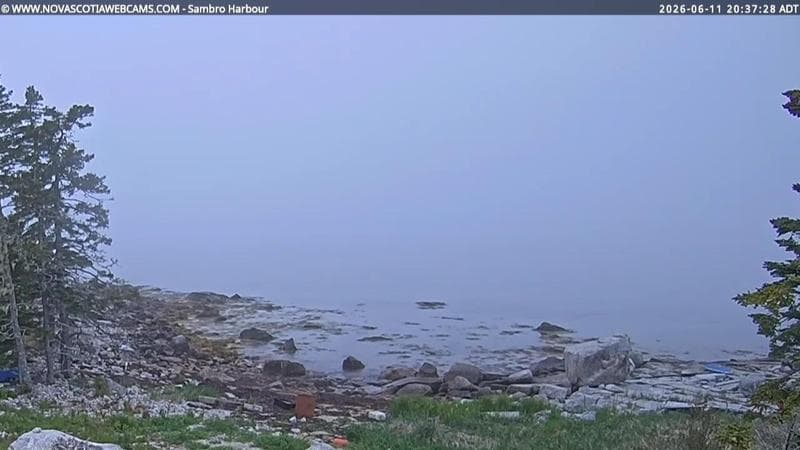 Sambro Harbour