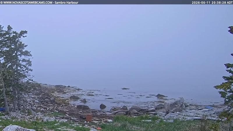 Sambro Harbour