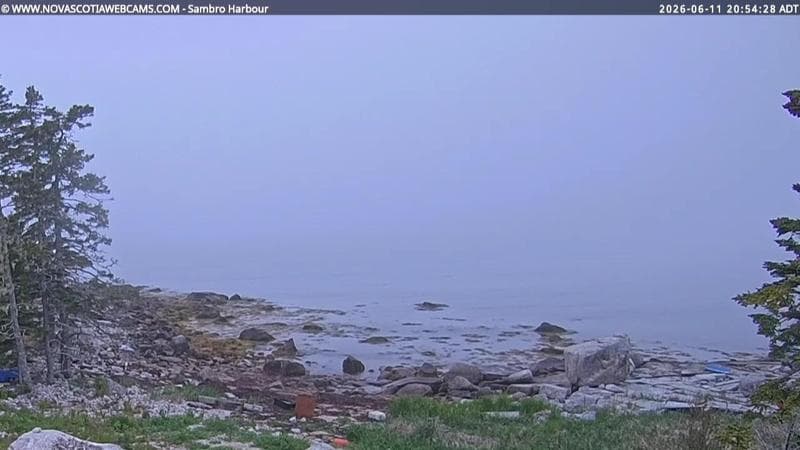 Sambro Harbour
