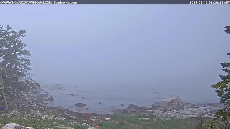 Sambro Harbour
