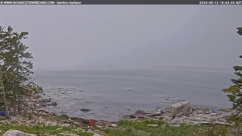 Sambro Harbour