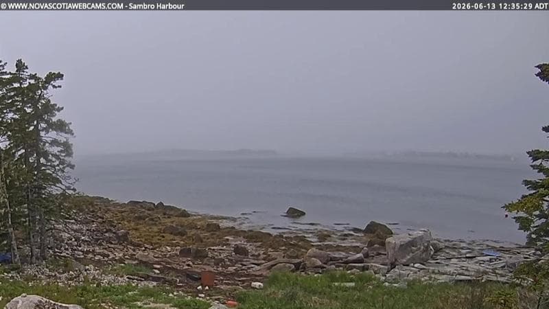 Sambro Harbour