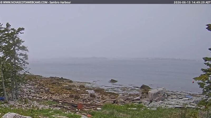 Sambro Harbour