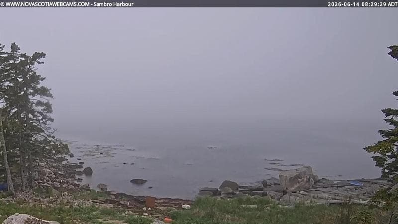 Sambro Harbour