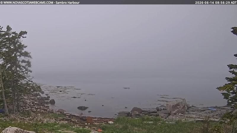 Sambro Harbour