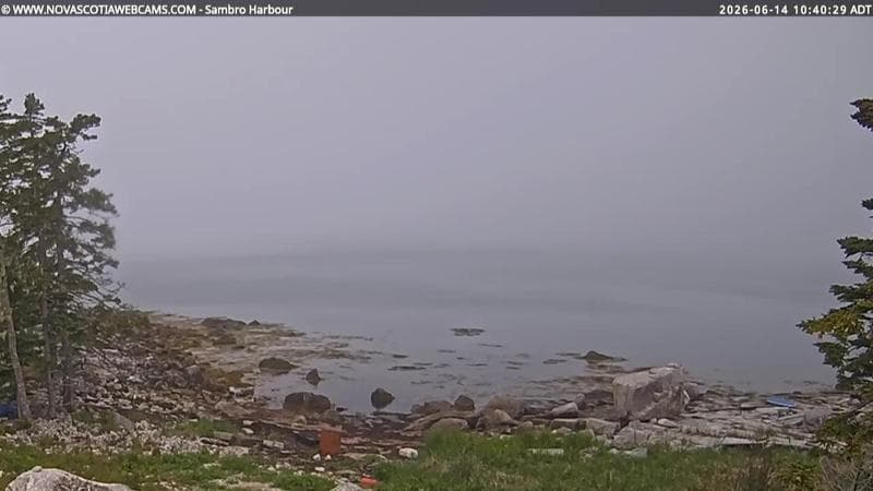 Sambro Harbour