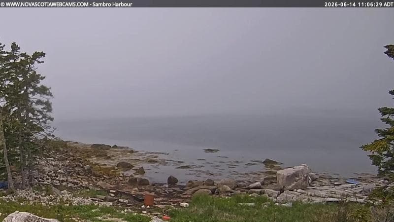 Sambro Harbour