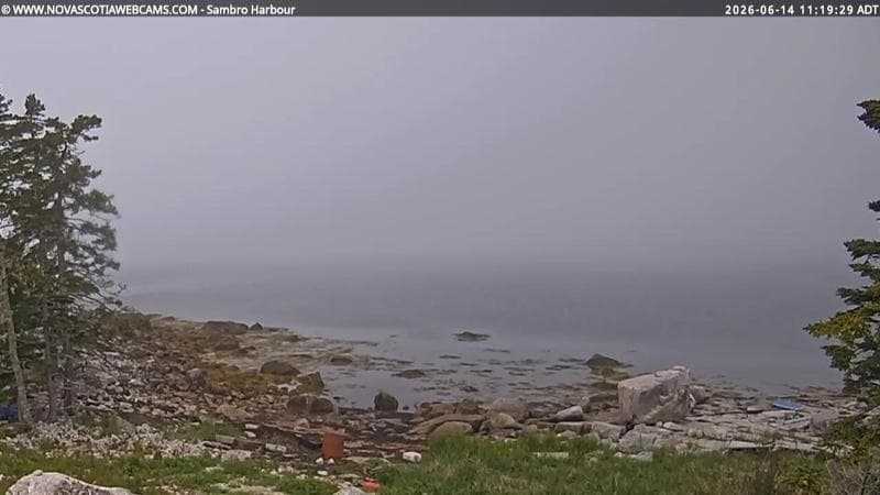 Sambro Harbour