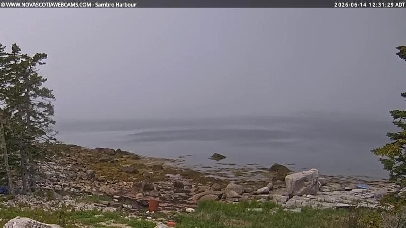 Sambro Harbour