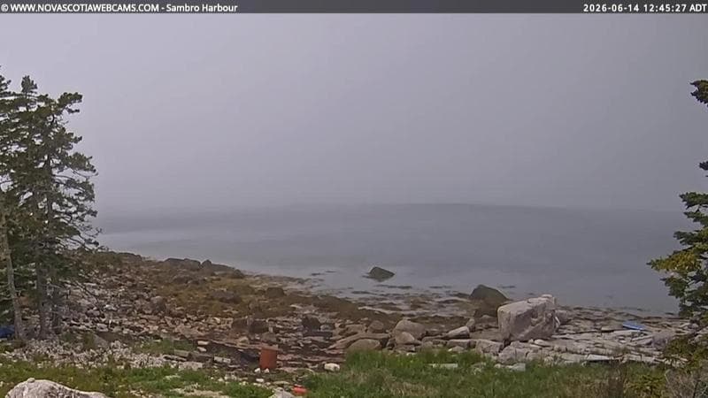 Sambro Harbour