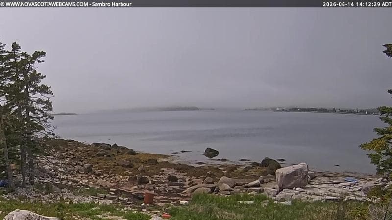 Sambro Harbour