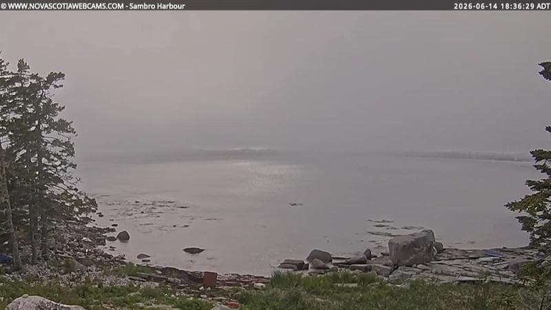 Sambro Harbour