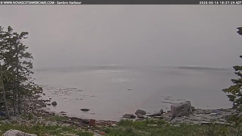 Sambro Harbour