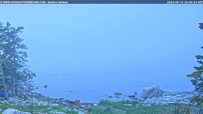 Sambro Harbour