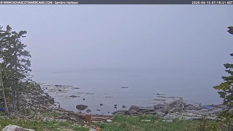 Sambro Harbour