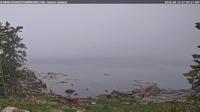 Sambro Harbour