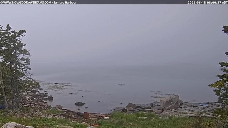 Sambro Harbour