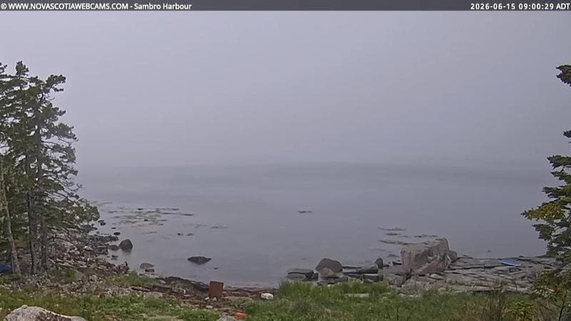 Sambro Harbour