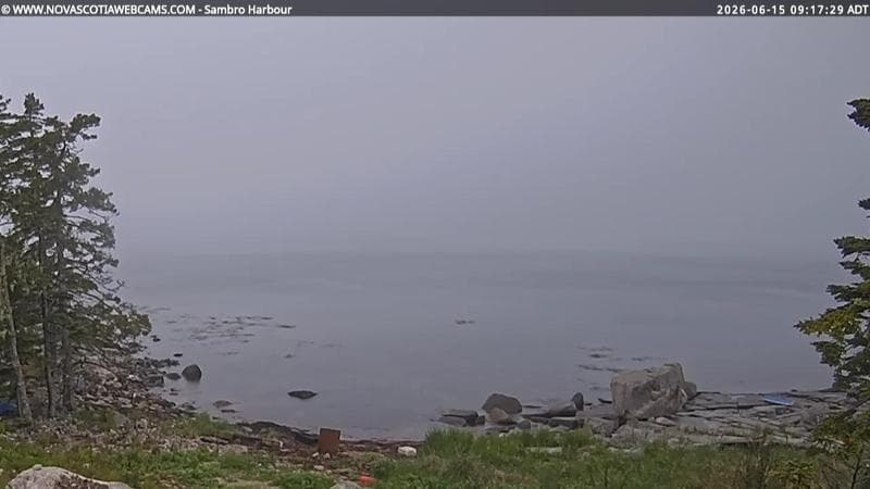 Sambro Harbour