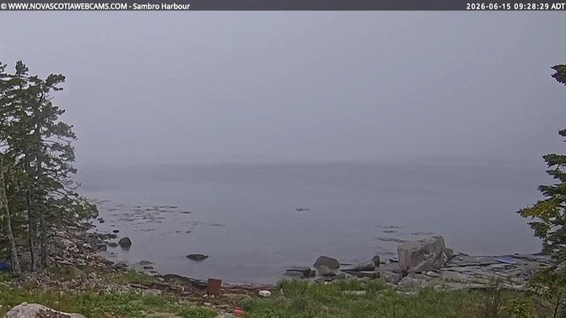 Sambro Harbour