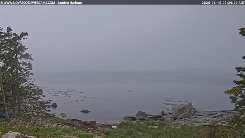 Sambro Harbour
