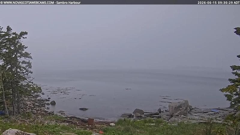 Sambro Harbour
