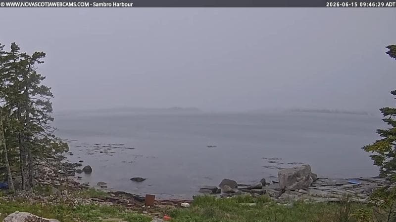 Sambro Harbour