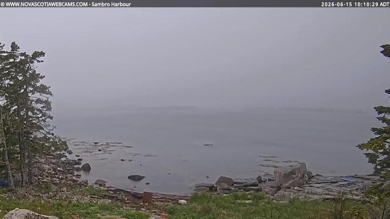 Sambro Harbour