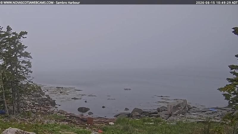 Sambro Harbour