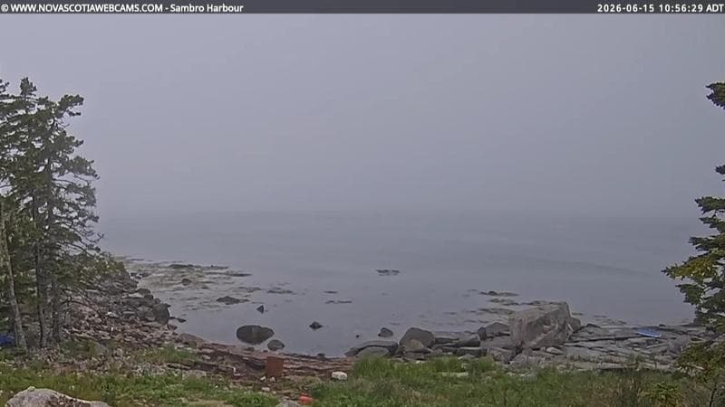 Sambro Harbour