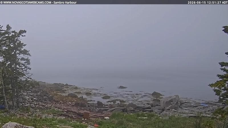 Sambro Harbour