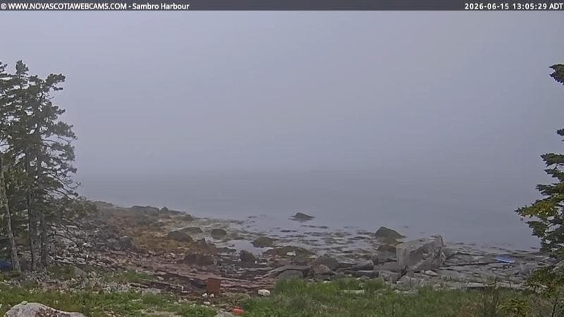 Sambro Harbour