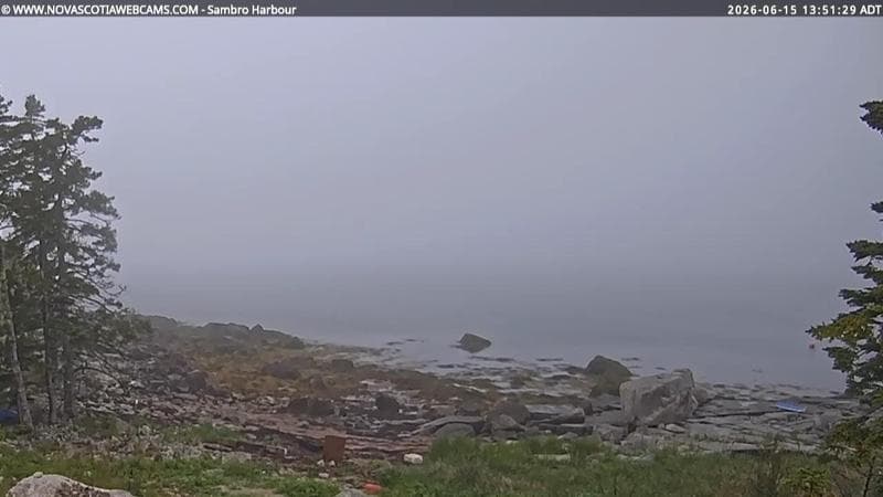 Sambro Harbour