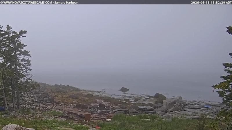 Sambro Harbour