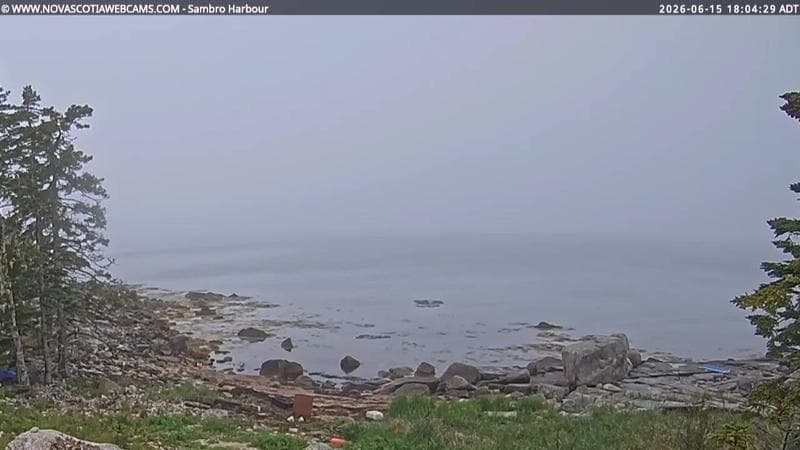 Sambro Harbour