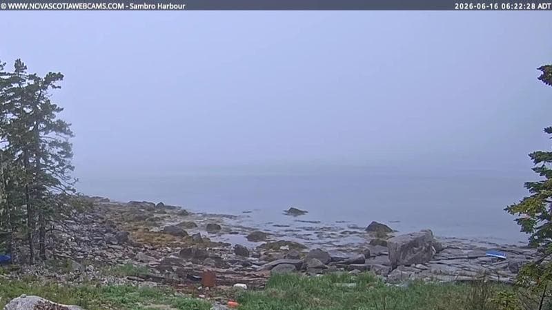 Sambro Harbour